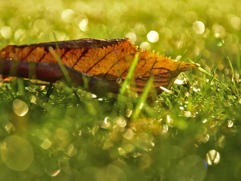 这四种分手情况，用断联可以挽回