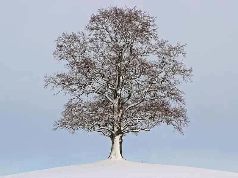 女人这四个地方，最容易动情，你知道几个？