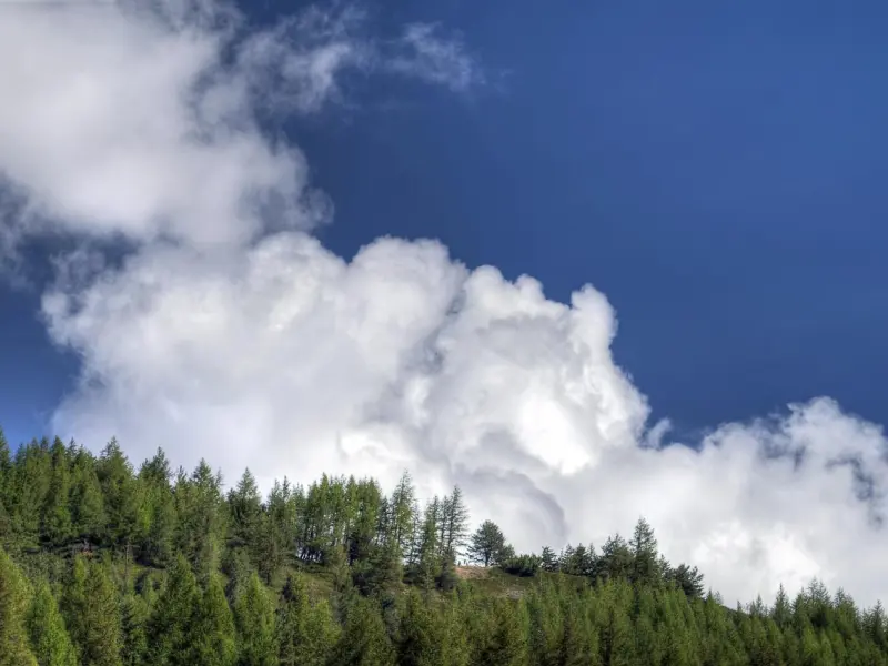 前任这四种反应，可以看出你的挽回进度