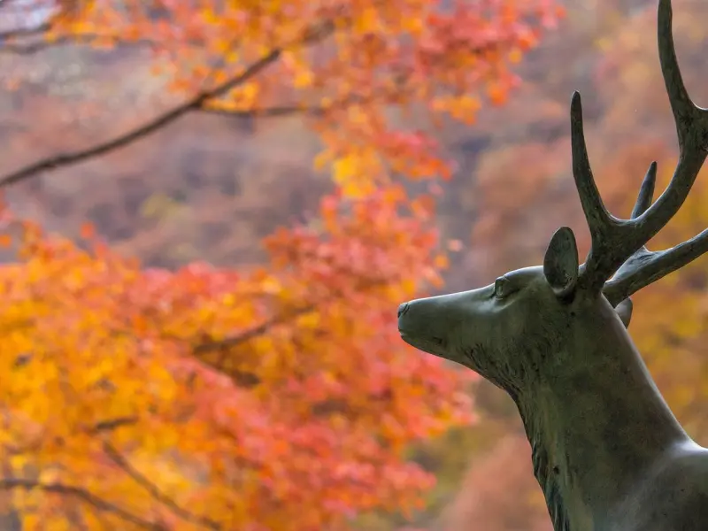 女人的这四个反应, 说明对你动了真情