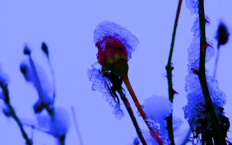 的这些“小动作”，最容易让女人动情，尤其最后一个！