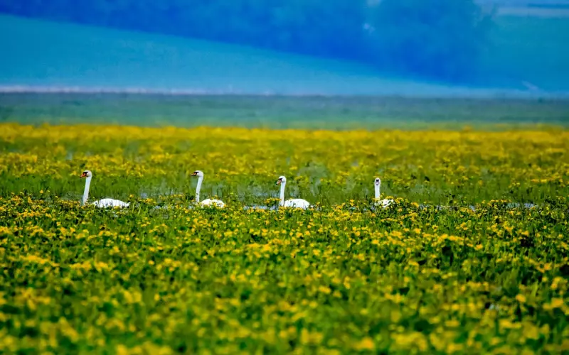 这些看似“扎心”的话，其实是挽回的阻碍，千万别说出口