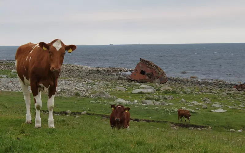 这些街拍搭配造型好惊艳！裤装都很新奇个性，开叉喇叭都出来了