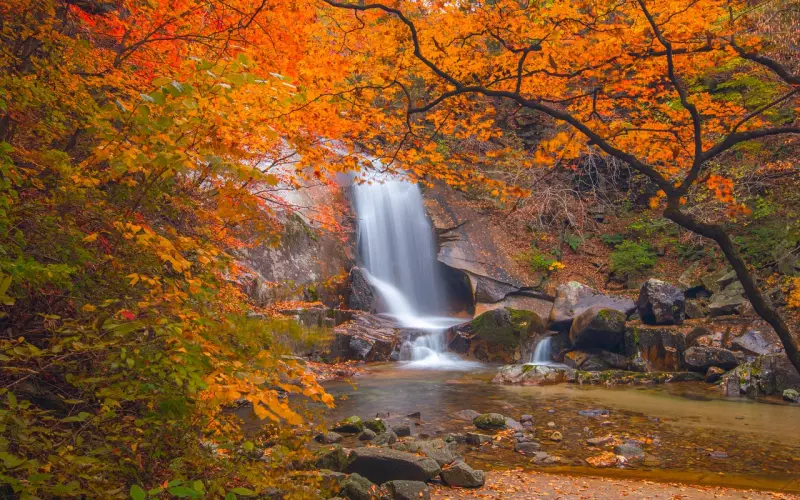 你的这些想法将会导致挽回成功率下降80%！