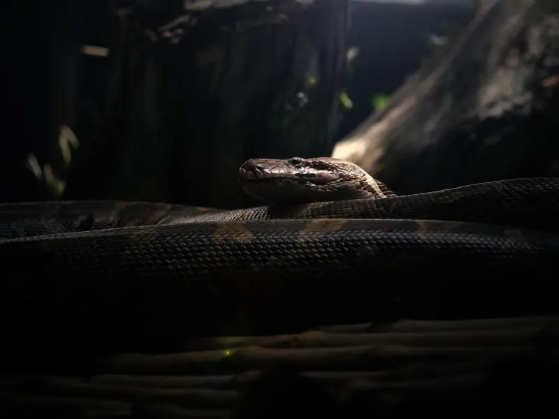 90后的这群女人不配结婚