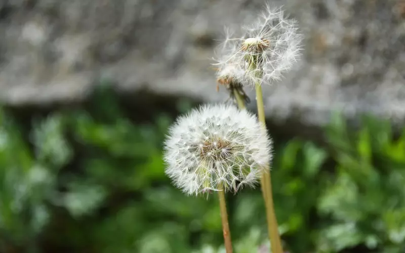 这些话，句句说到心坎上！精辟！