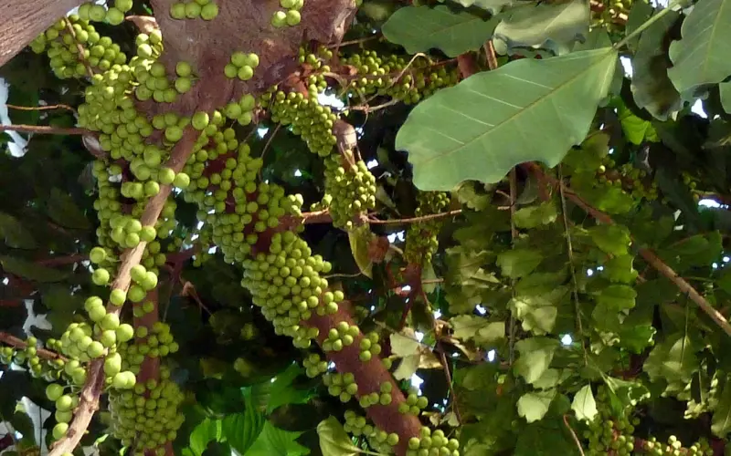 这些挽回女友的话超感人！