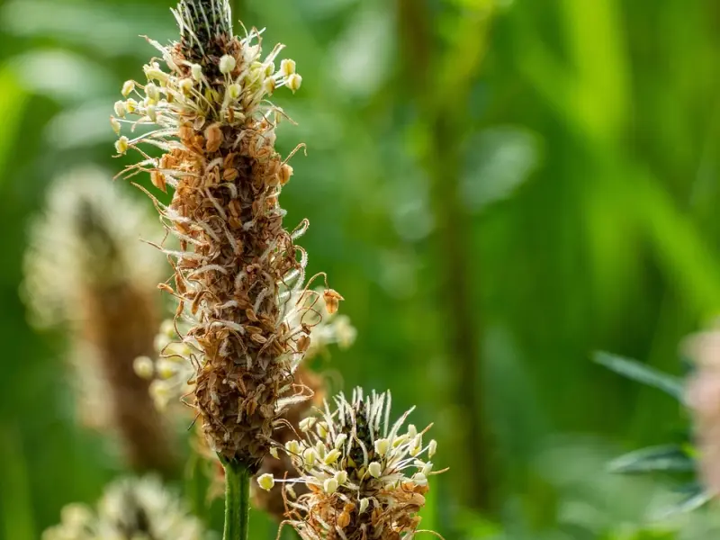 这些挽回前任的错误方式，会让你们渐行渐远