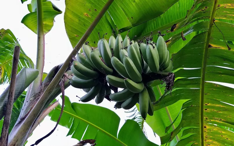 都是挽回，为什么她们的结果却截然不同？