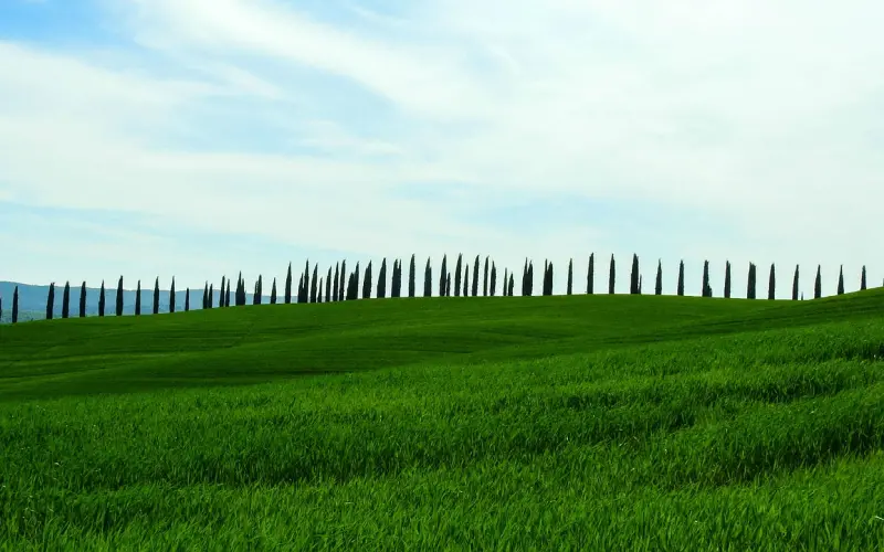 他们来自星星、我们来自现实——百合网婚恋专家周小鹏为您化解爱情困惑