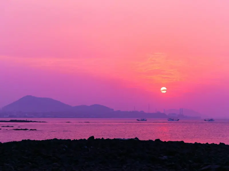 关于什么才是爱情，他们给出了答案！