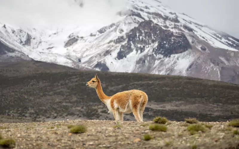 女人与前任复合前要想清楚的事