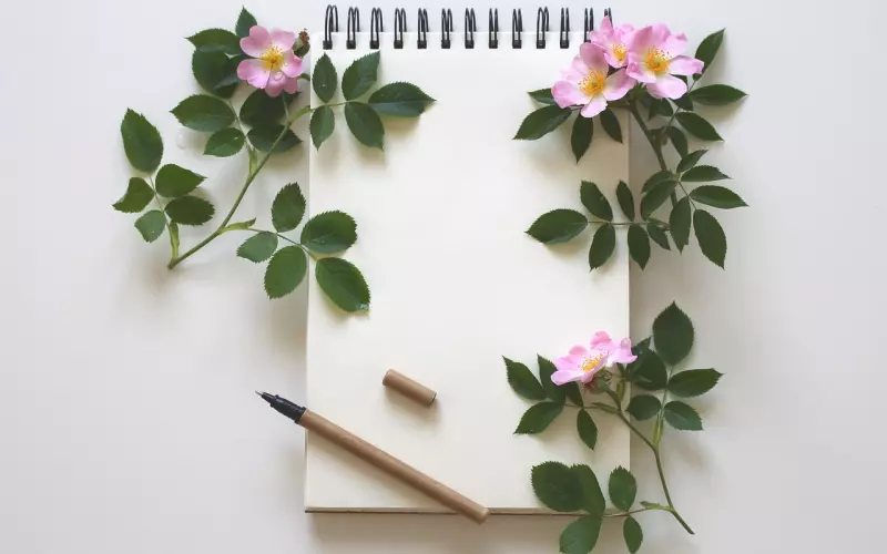 挽回爱情需要注意的事项