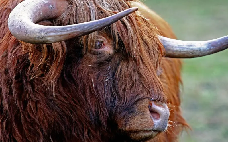 三十年后，但愿有你一半牛逼