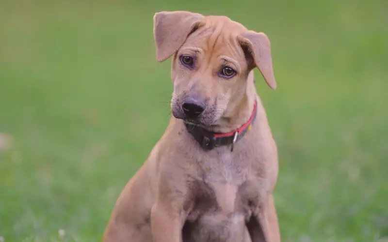 这个硬核内功，送给想彻底走出情感困惑的女孩