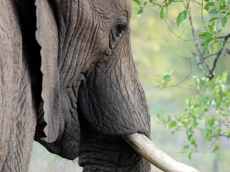 这种看不到的精神长相，决定人的一生！对对对，就是体内的气质！