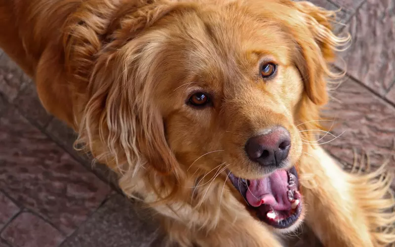 前任不回信息90%都是这个原因，解决这个问题保证Ta秒回你