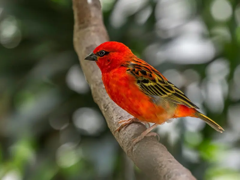 心痛心累的说说，伤感扎心，送给身心疲惫的你！