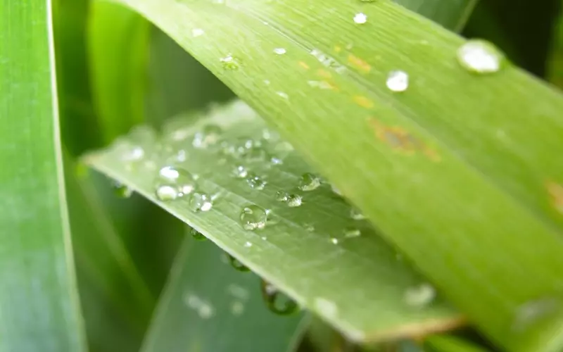 分手后挽回男友 你只需要这样做