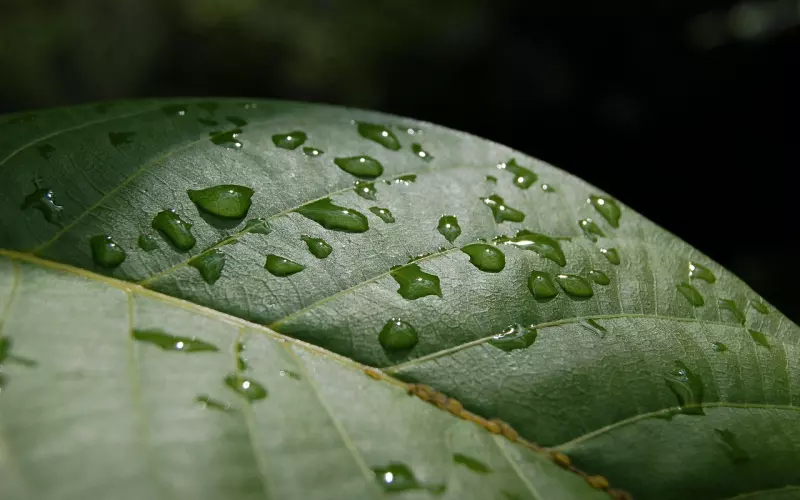 分手后挽回男友 你只需要这样做