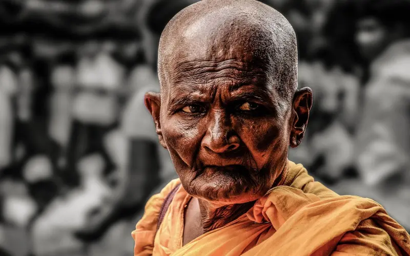 老司机就是这样没皮没脸的追到女生的！