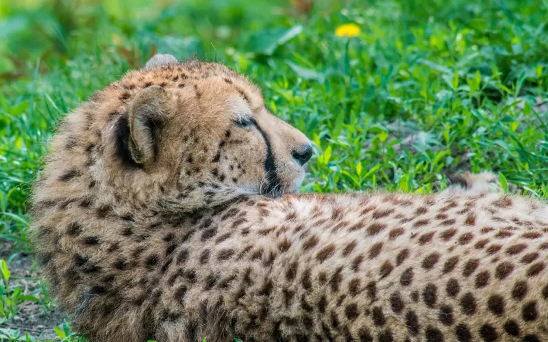 这样挽回，是最快的