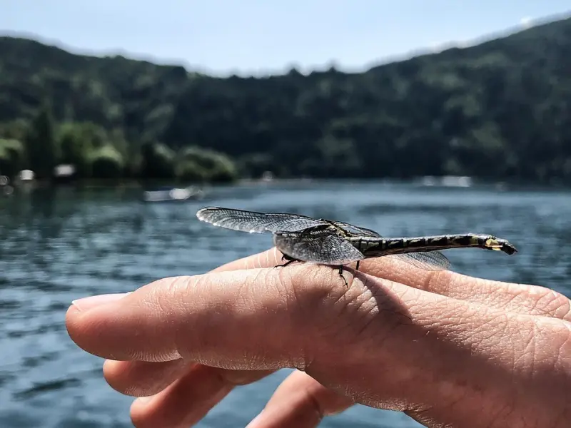 “判断一个男人是否爱你，这一招最准。”