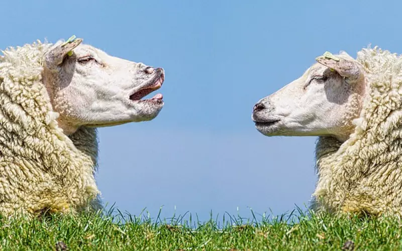 情侣吵架 这才是最正确的解决方法