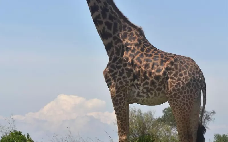 这样做挽回男友的效率最高