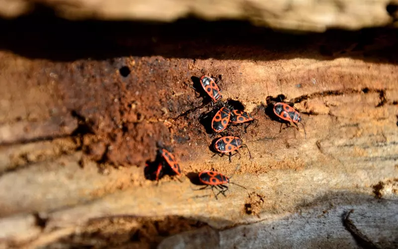 挽回讨厌自己的前任，仅此一招！