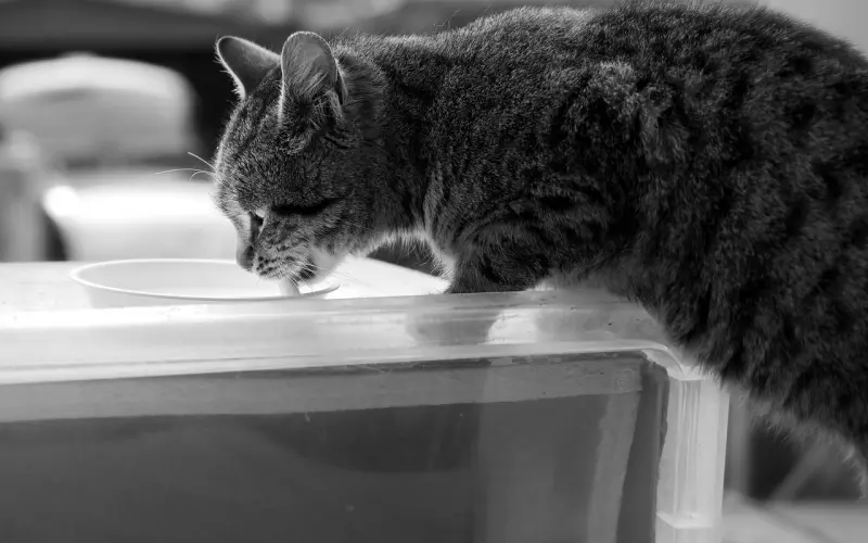 这才是挽回男友的正确方式