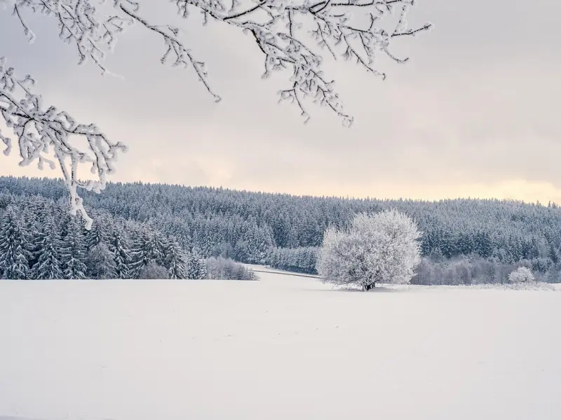 被分手时，前任心里是这么想的