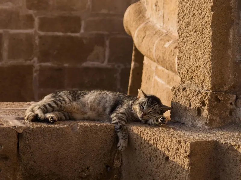 这种女孩化妆像姑娘，卸妆是大娘。