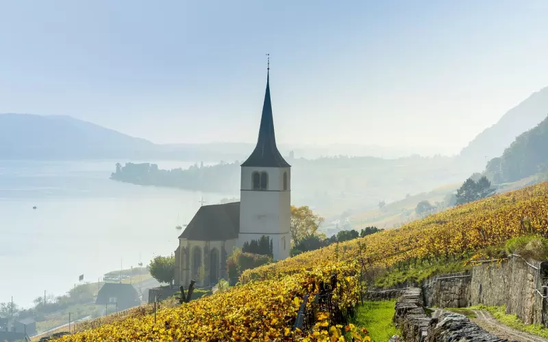 这样提供情绪价值，亲密关系会更好