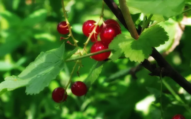 这次挽回，我们巧借外力