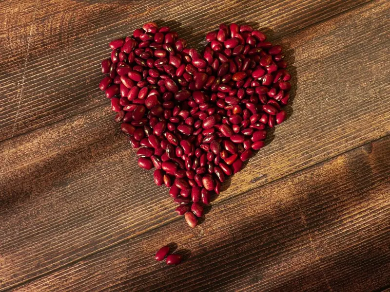 爱情不适合的 可以做朋友 但别做假情人