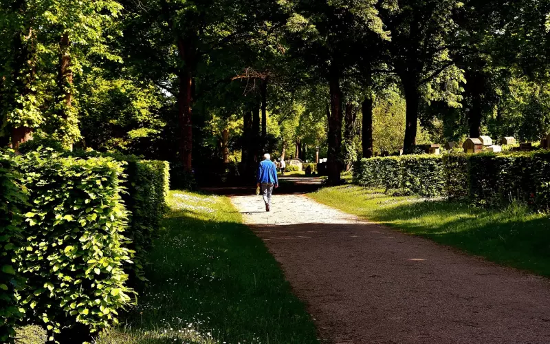 “那些在记忆里不肯死掉的人”