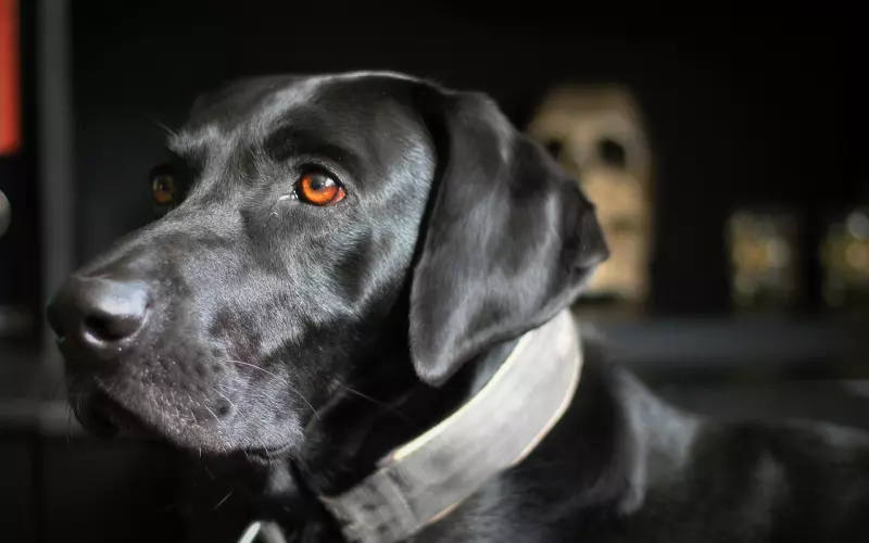 男友挽回中的三个大招：男朋友要分手，女生要怎么挽留？