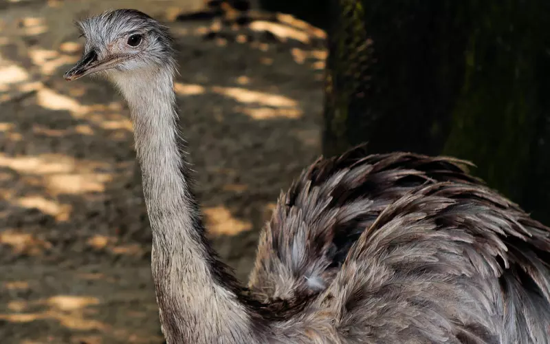 挽回男友不能忽略的三大细节