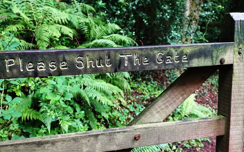 挽回男友不能忽略的三大细节