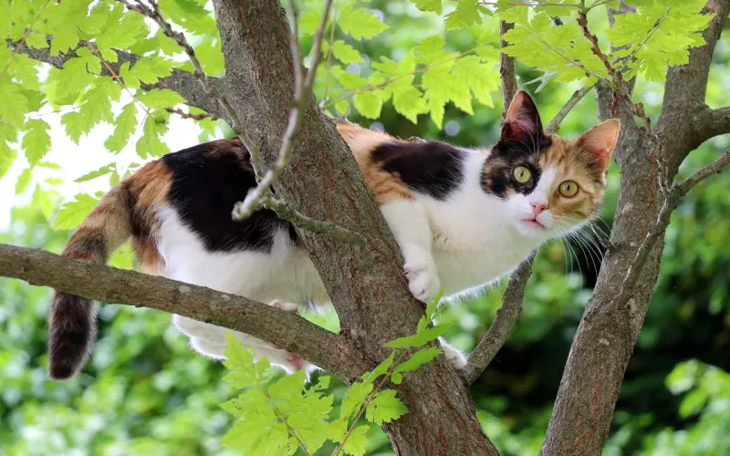 分手后挽回男友的三个高效方法