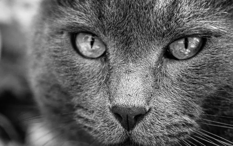 聊天老司机必备的三大谈话能力