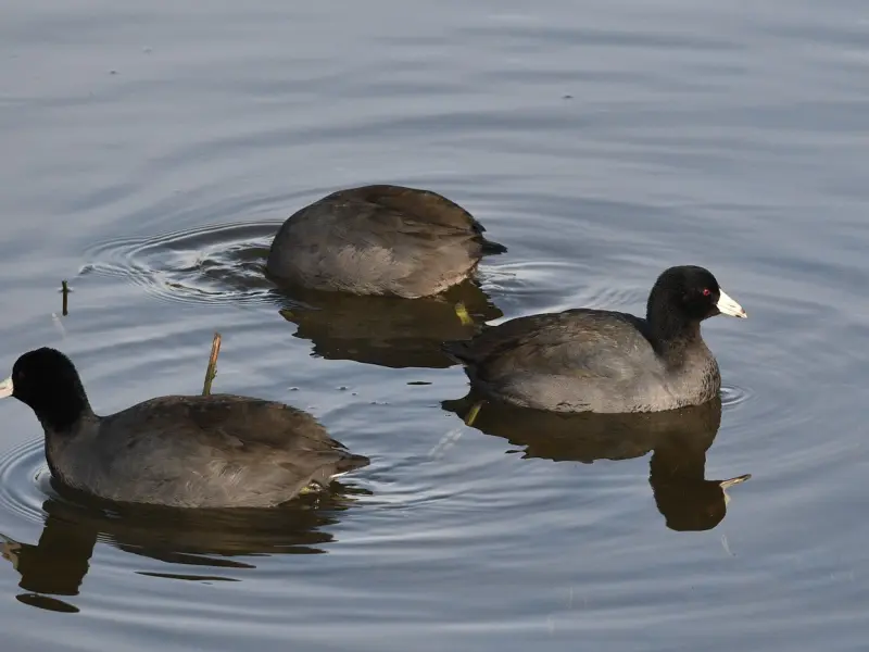 女生给你的三种暗示，不要傻傻的错过