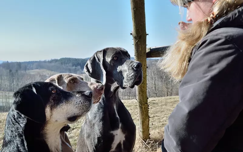 分手后与前任复合需要具备3大要素