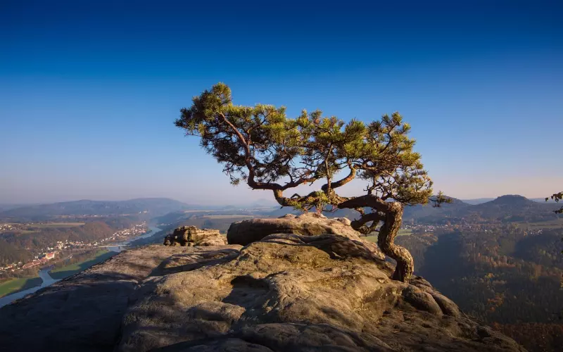 挽回男友三大心态误区及建议