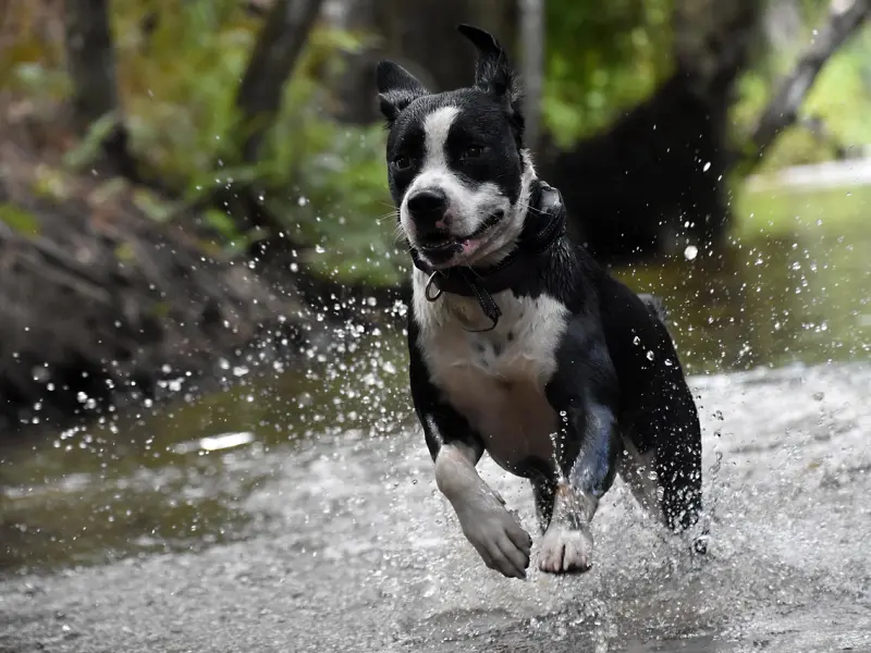 猥琐的男人的三大表现