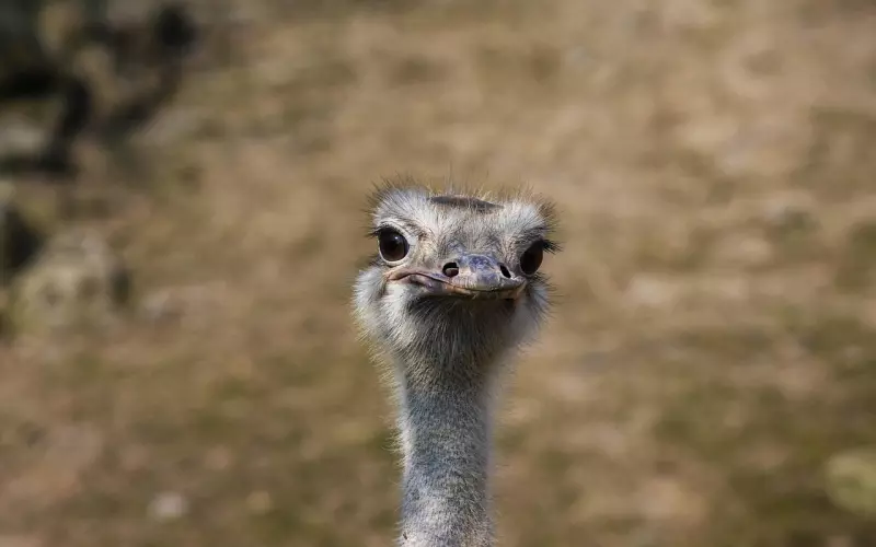 女人“爱你入骨”的3大表现，中两条以上，打死都别放手