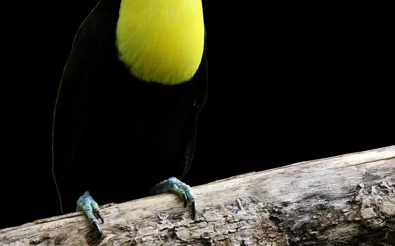 假性分手的三种表现，复合几率非常大
