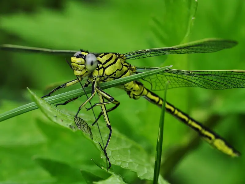 成长的三大天敌