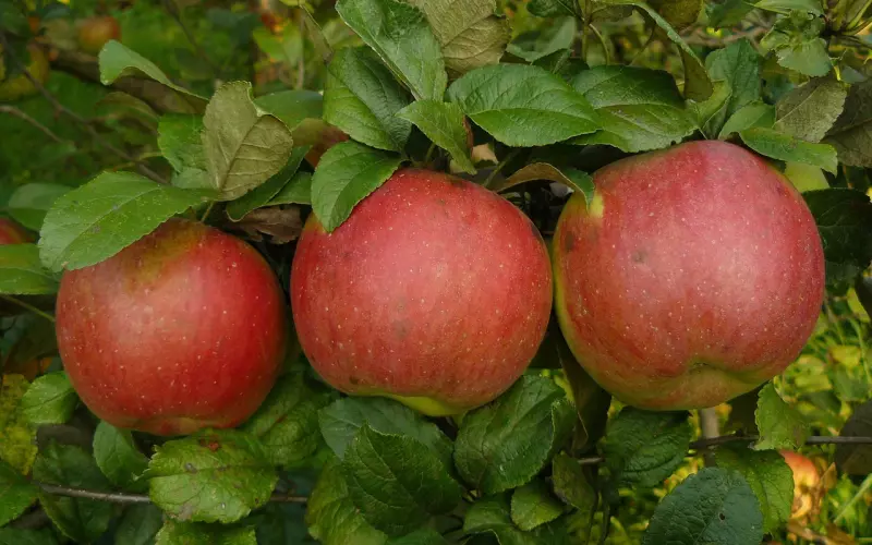 人生三问，问到心酸